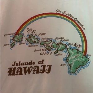 Islands of Hawaii Brandy Melville Crop top